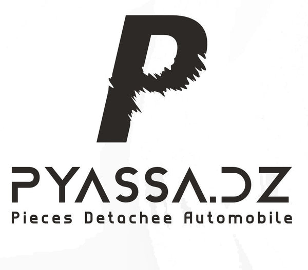 PYASSA.STORE